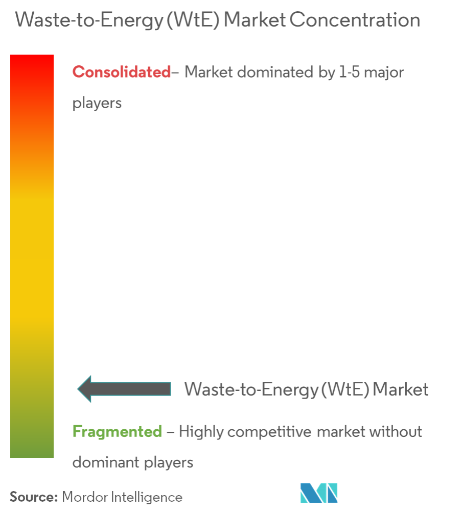 Waste-to-Energy (WtE) Market Concentration